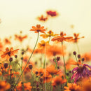 Farewell Print Premium Roll-Up 100 DUO-19