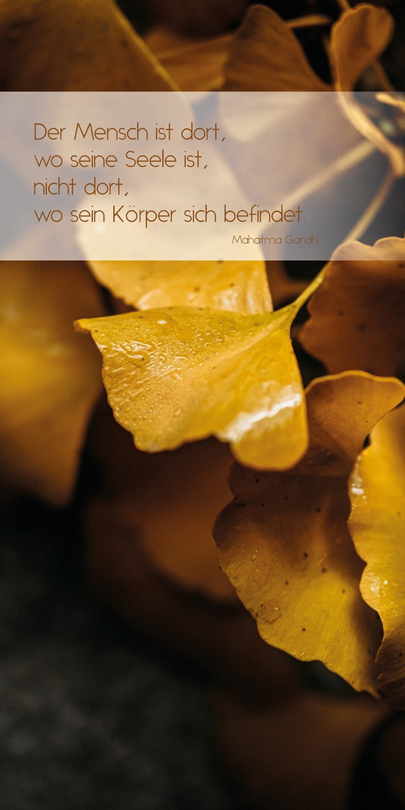 Farewell Print Premium Roll-Up 100 UNO