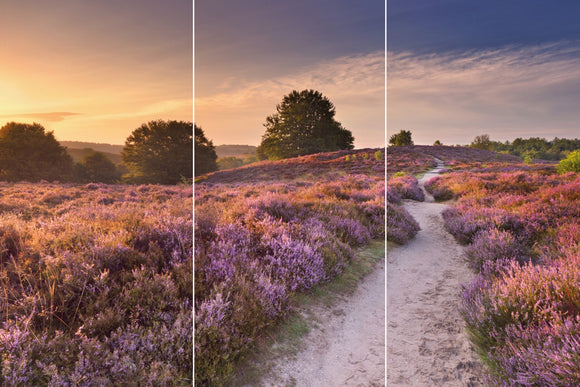 Farewell Print Premium Roll-Up 100 TRIO