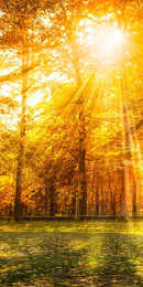 Farewell Print Premium Roll-Up 100 UNO-30