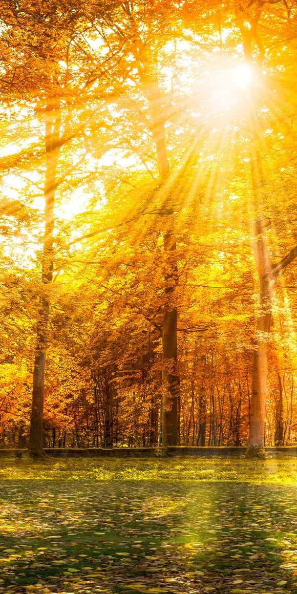 Farewell Print Premium Roll-Up 100 UNO