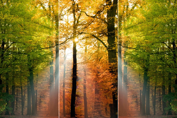 Farewell Print Premium Roll-Up 100 TRIO