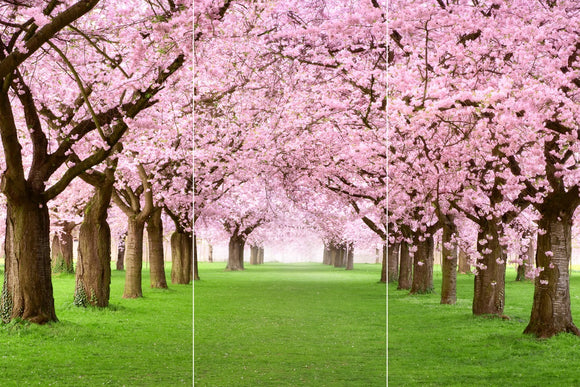 Farewell Print Premium Roll-Up 100 TRIO