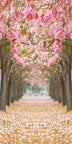 Kirschblütenallee