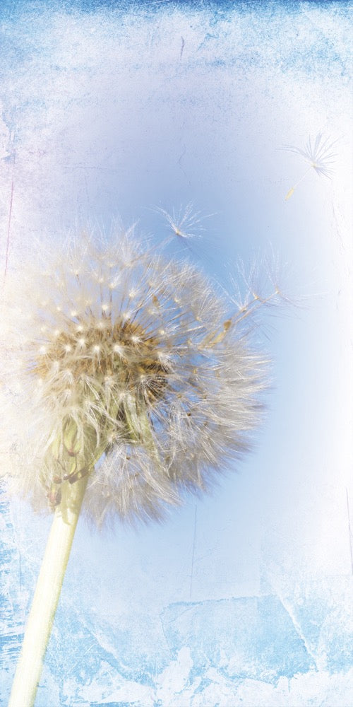 Farewell Print Premium Roll-Up 100 UNO