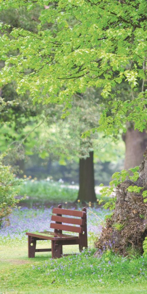 Farewell Print Premium Roll-Up 100 UNO