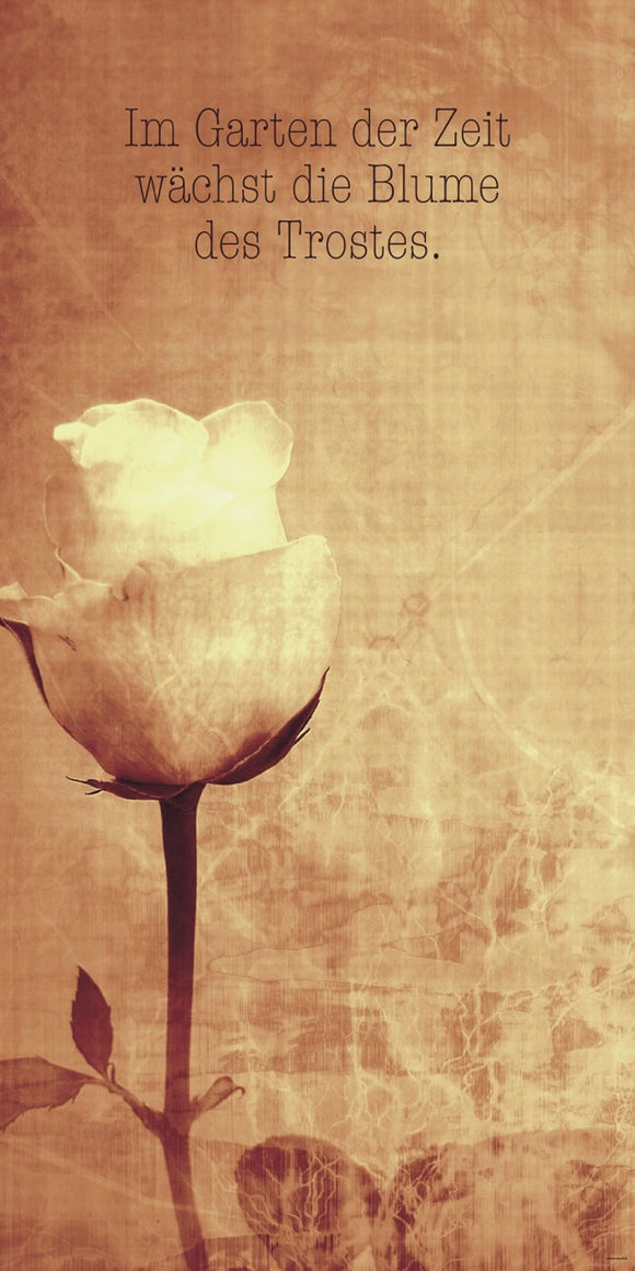 Farewell Print Premium Roll-Up 100 UNO