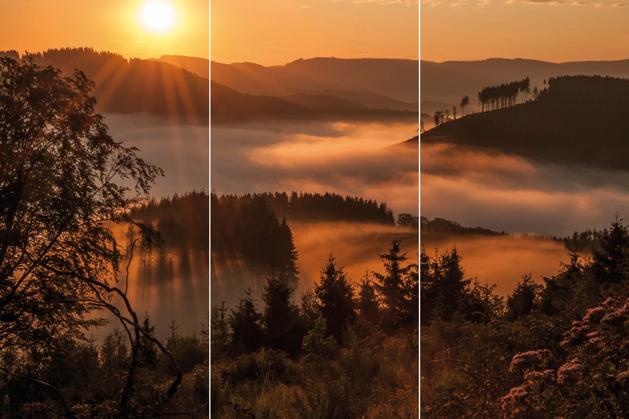 Kaufen sonnenaufgang-3-trio Digirello Paravent