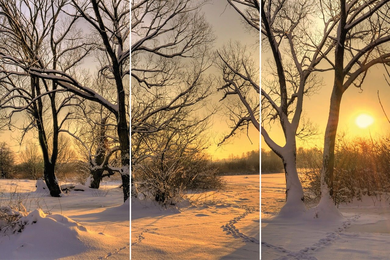 Kaufen sonnenuntergang-im-winter-trio Digirello Paravent