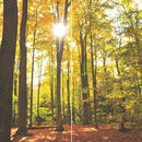 Farewell Print Premium Roll-Up 100 DUO-27