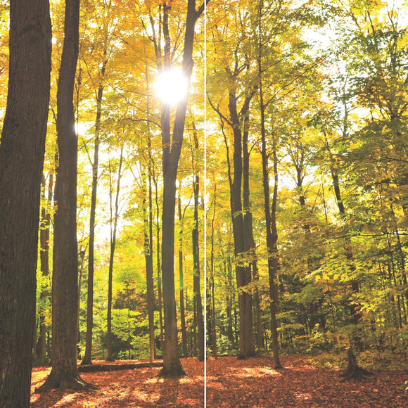 Farewell Print Premium Roll-Up 100 DUO