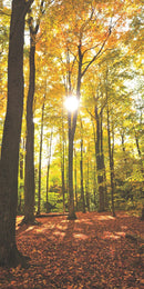 Farewell Print Premium Roll-Up 100 UNO-47