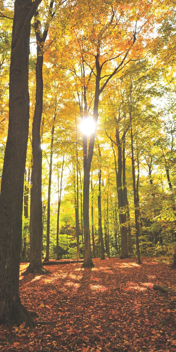 Farewell Print Premium Roll-Up 100 UNO