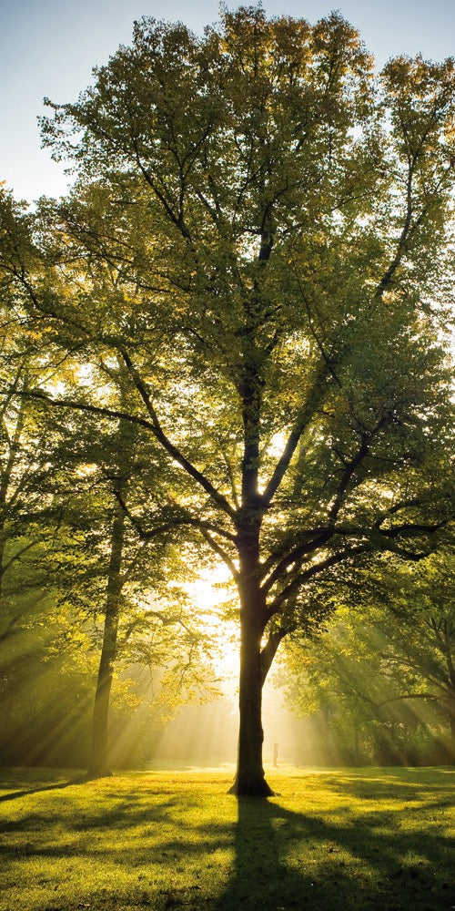 Farewell Print Premium Roll-Up 100 UNO