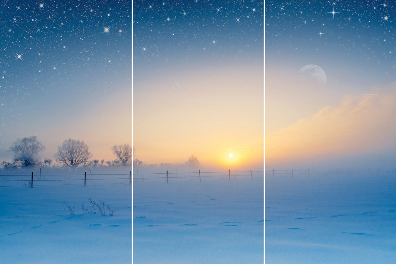 Kaufen winterlandschaft-schnee-trio Digirello Paravent