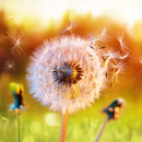 Farewell Print Premium Roll-Up 100 DUO-3