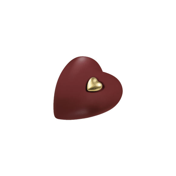 Feuer und Erde Herz Memory Bio Lehm Urne