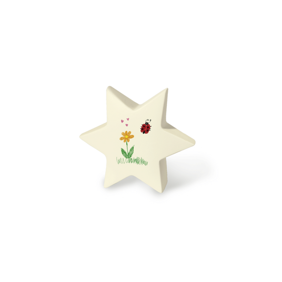 Feuer und Erde Junior Stern Memory Bio Lehm Urne