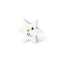 Feuer und Erde Junior Stern Memory Bio Lehm Urne-8