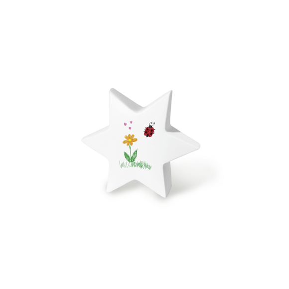 Feuer und Erde Junior Stern Memory Bio Lehm Urne