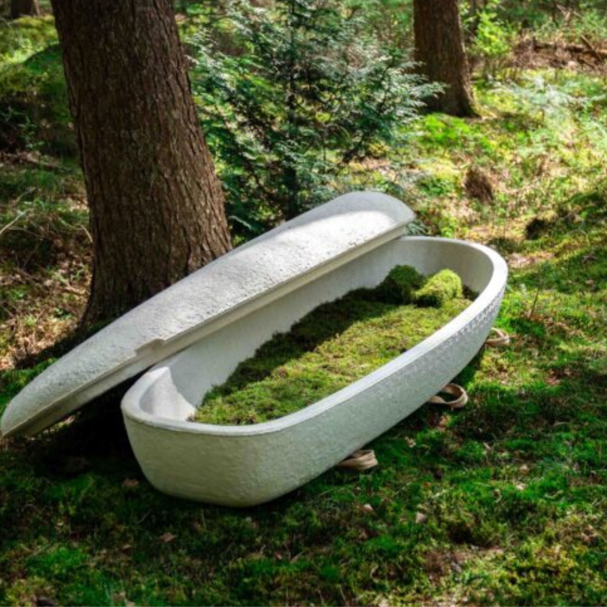 Loop Living Cocoon Sarg - 0