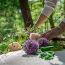 Loop Living Cocoon Sarg-6