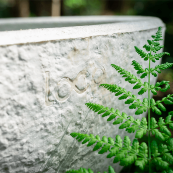 Loop Living Cocoon Sarg