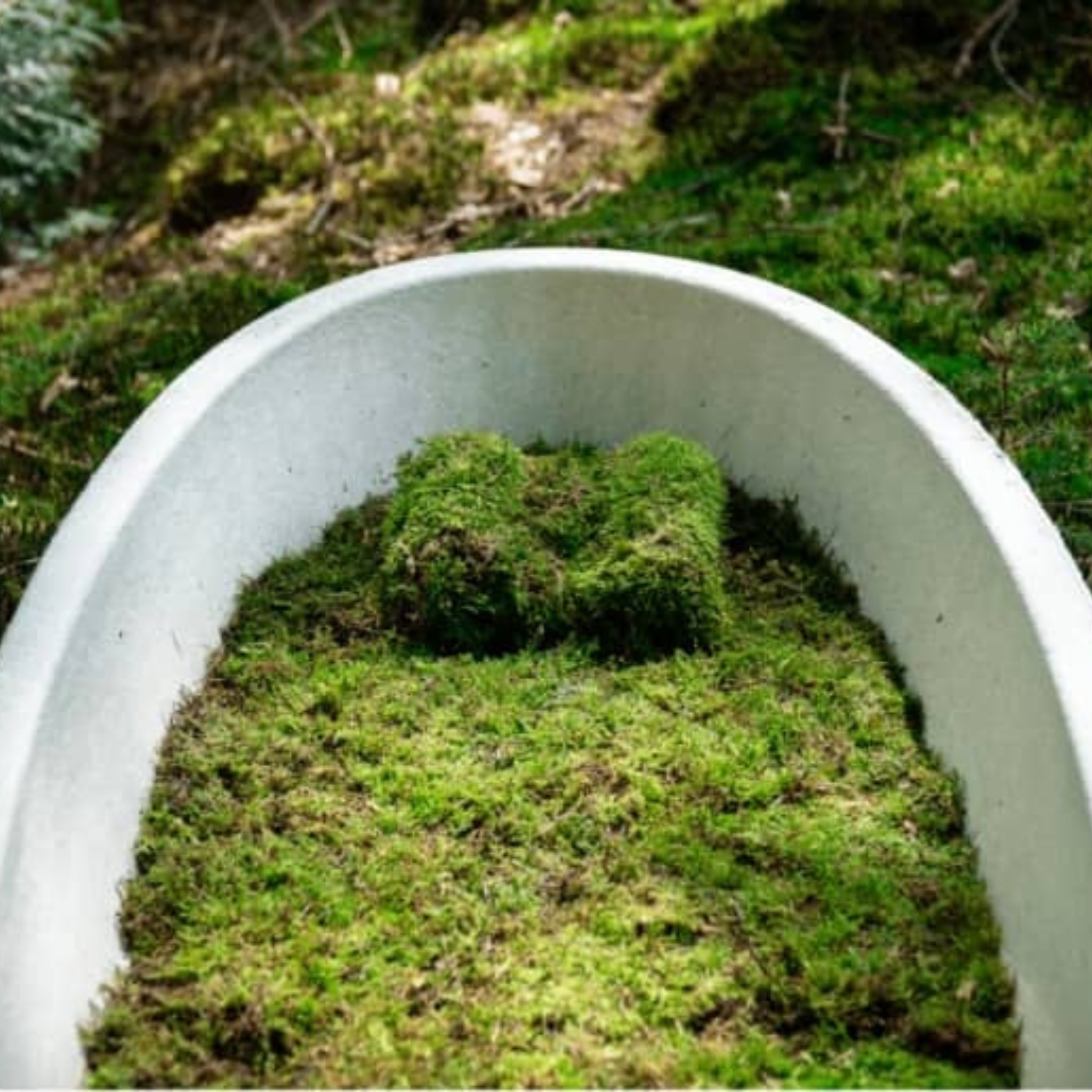 Loop Living Cocoon Sarg