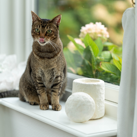 Loop FurEver Tierurne