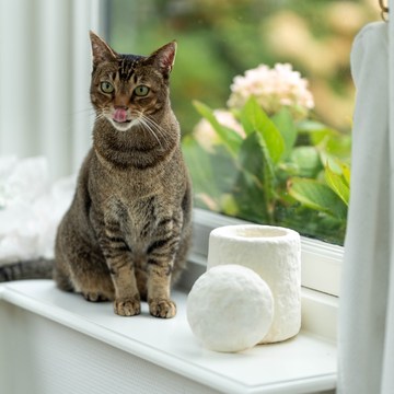 Loop FurEver Tierurne