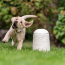 Loop FurEver Tierurne-2