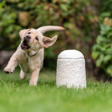 Loop FurEver Tierurne - 0