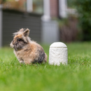 Loop FurEver Tierurne-3