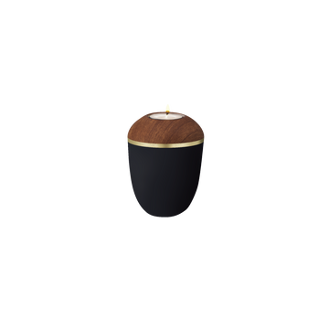 Feuer und Erde Prestige Pure Memory Bio Lehm Urne - 0