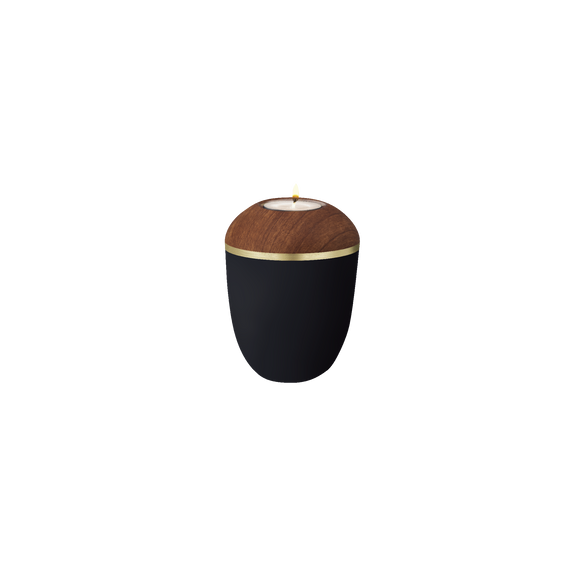Feuer und Erde Prestige Pure Memory Bio Lehm Urne