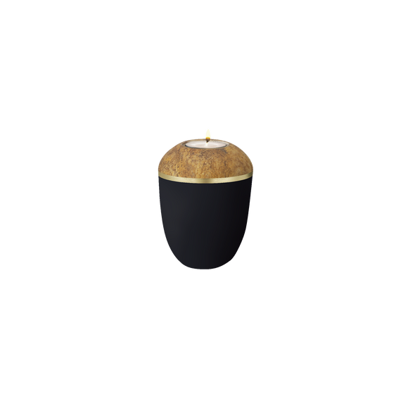 Feuer und Erde Prestige Pure Memory Bio Lehm Urne