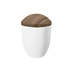 Weiß Apfelbaum