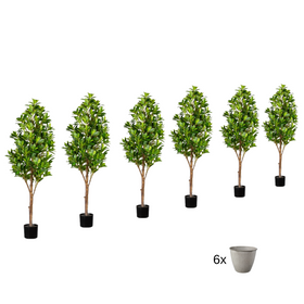 Kirschlorbeerbaum Kunstpflanze Deko 120 cm 6er Set