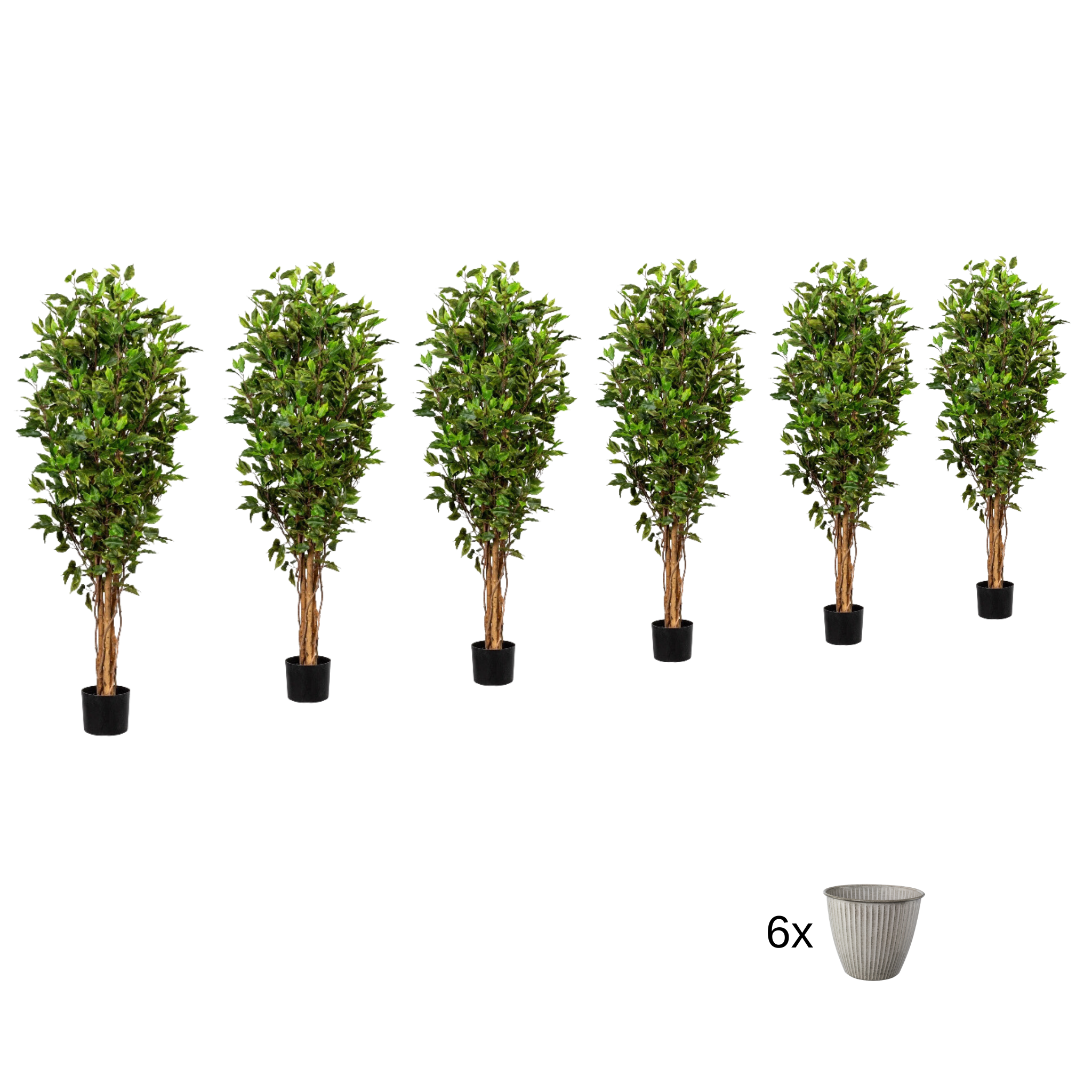 Ficus Benjamini artificial plant UV-resistant set of 6