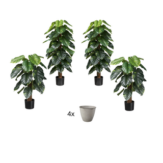 4x Philodendron Scandens Kunstpflanze Set