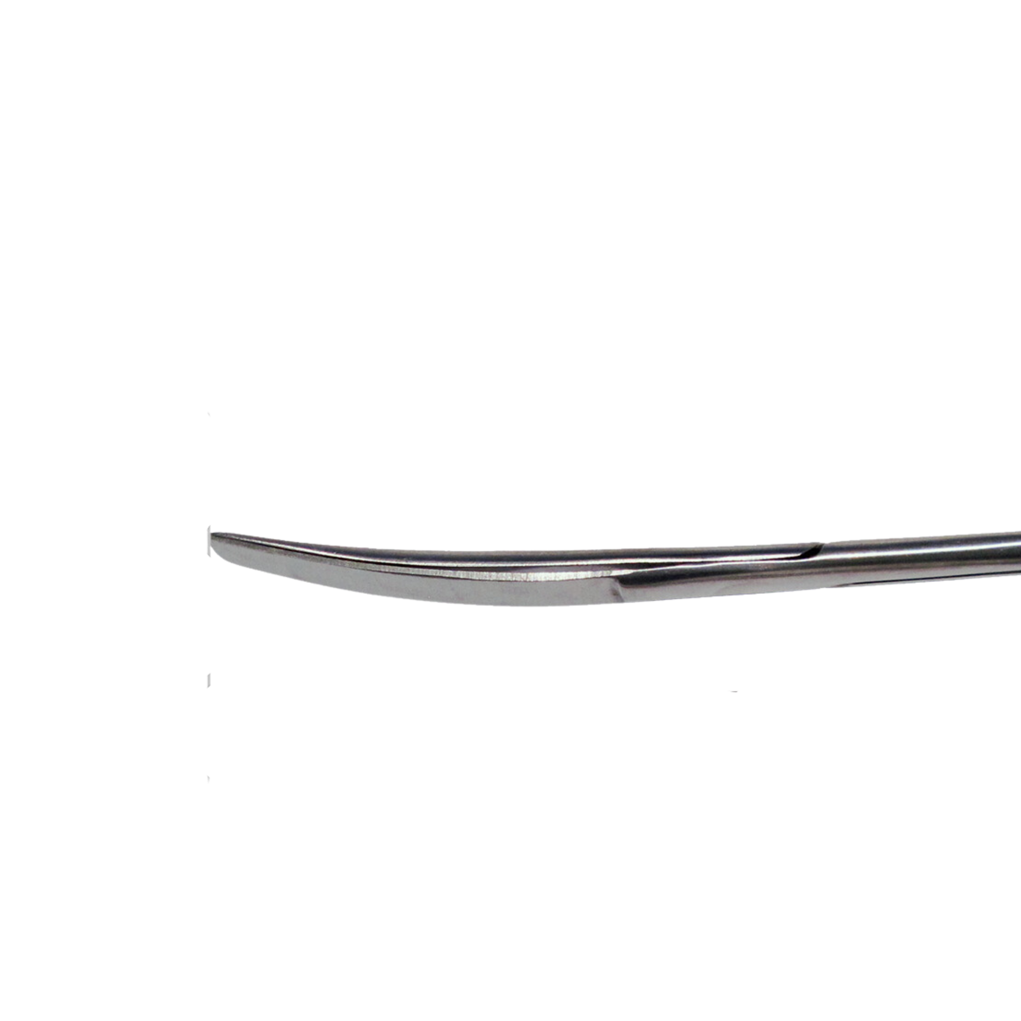 Lavabis surgical scissors curved stainless steel