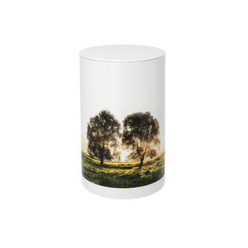 Urna in argilla organica dell'Albero del riposo di Fuoco e Terra