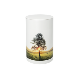 Feuer und Erde Ruhebaum Bio Lehm Urne - 0