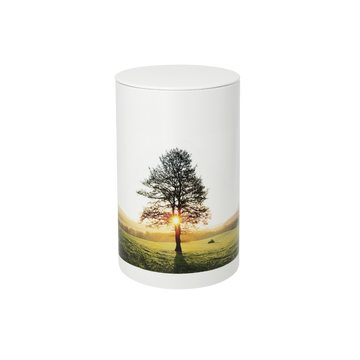 Urna in argilla organica dell'Albero del riposo di Fuoco e Terra - 0