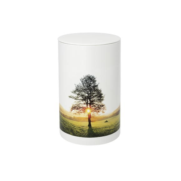 Feuer und Erde Ruhebaum Bio Lehm Urne