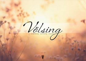 Völsing Katalog Premium 2024