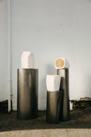 Urne Evig - Rest in Pilz-8