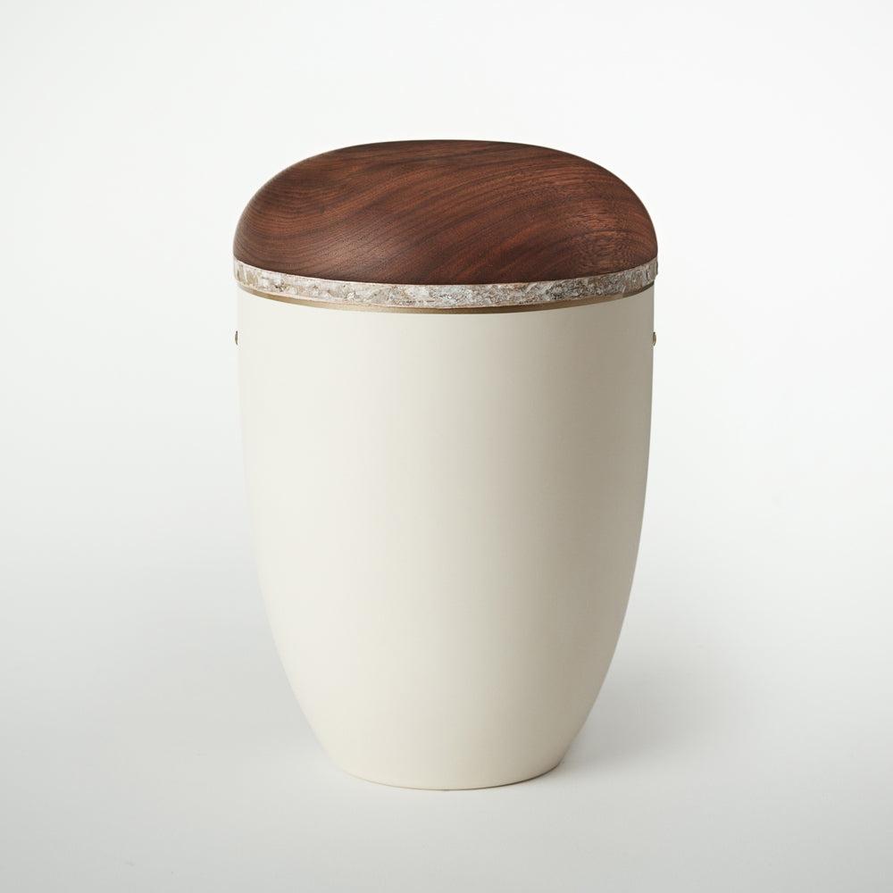Samosa natural wood urn birch