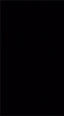 Spencer elektrischer Roll-In Transportwagen-4