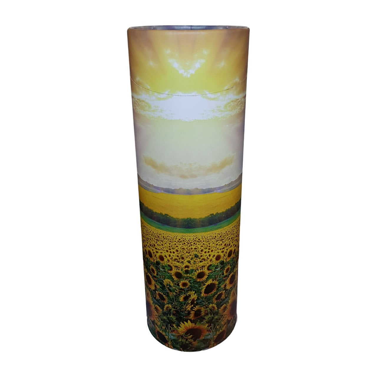 Buy sunflowers ScatterPod Adult Round Scattering Urn